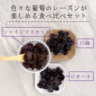 シャインマスカット 巨峰 ピオーネ のレーズン 30g×5袋 食べ比べセット 無添加、砂糖不使用