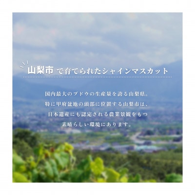 【産地直送】厳選高級シャインマスカット 2kg(3～4房)【配送不可地域：離島・沖縄県】