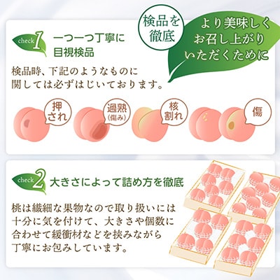 【2026年発送 先行受付】山梨厳選旬の桃 約1kg(3～4玉)【配送不可地域：離島】