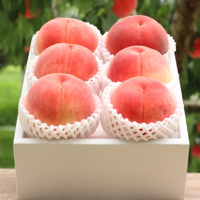 【2026年発送先行受付】山梨県山梨市産　旬の採れたて高糖度桃　約5kg(13～20玉)【配送不可地域：離島・沖縄県】