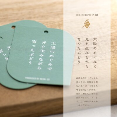 シャインマスカットジュース 1000ml × 1本 果汁 100% ストレート シャイマスカット