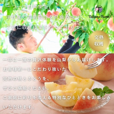 【2026年先行予約】完熟収穫桃 約1.5kg 山梨県産 自社農園産直!【配送不可地域：離島】