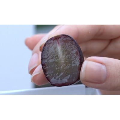 【2026年先行受付】10月下旬より発送「牧丘天空の丘マスカットノワール」約1kg(2～3房)【配送不可地域：離島】