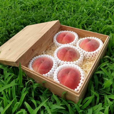 【シンガポールセレブ御用達】世界レベルで通用する『幻のシャトーブリアン桃』7月上旬より順次発送【配送不可地域：離島・北海道・沖縄県・中国・四国・九州】