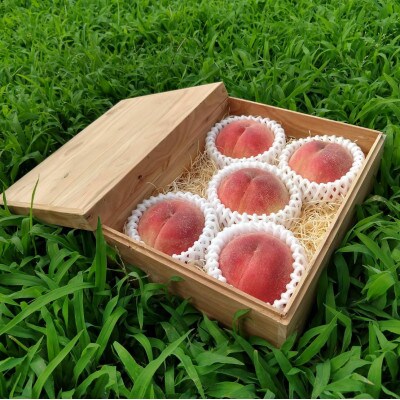 【日本一有名な桃】1日に1個しか実らない『幻のシャトーブリアン桃』2026年7月中旬より順次発送【配送不可地域：離島・北海道・沖縄県・中国・四国・九州】