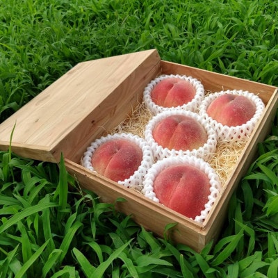 【お家で一流レストラン御用達】桃通を唸らせる『幻のシャトーブリアン桃』2026年7月下旬より順次発送【配送不可地域：離島・北海道・沖縄県・中国・四国・九州】