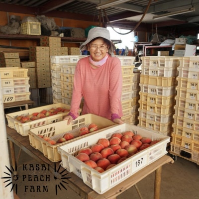 【2026年発送先行受付】厳選朝採り桃 山梨の笠井桃園の桃 約2kg【配送不可地域：離島】