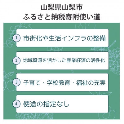 【返礼品なし】山梨県山梨市への応援寄附金(1口5,000円)