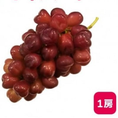 【2026年9月上旬より発送予定】マイハート1房 500g以上 ハート形のかわいい葡萄【配送不可地域：離島】