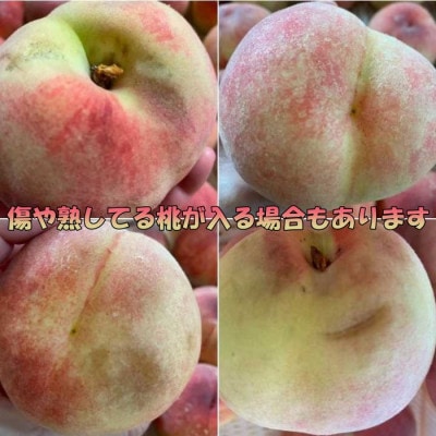 2026年 先行受付【訳あり】桃 2kg以上【配送不可地域：離島】