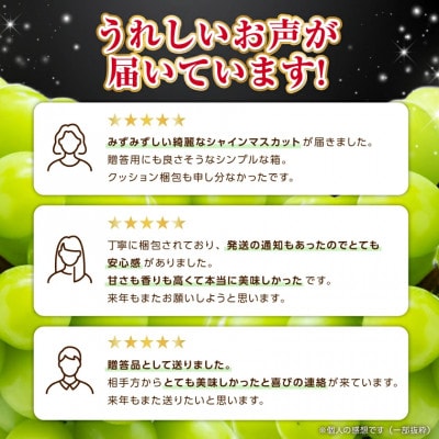 2026年度先行予約 フルーツ王国山梨 厳選 シャインマスカット 6～8房(約4kg) 2kg×2箱【配送不可地域：離島】