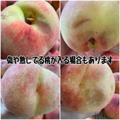 【2026年先行受付】訳あり桃!3kg前後 ご家庭用 加工用に!【配送不可地域：離島】