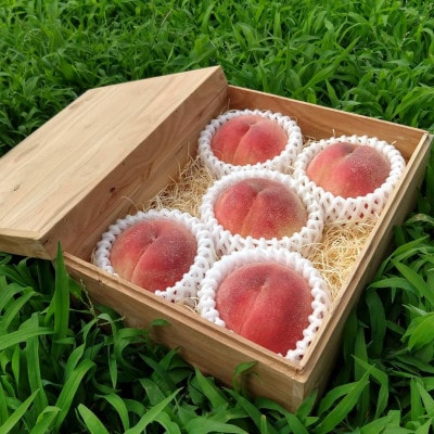 【お家で一流レストラン御用達】桃通を唸らせる『幻のシャトーブリアン桃』2026年8月下旬より順次発送【配送不可地域：離島・北海道・沖縄県・中国・四国・九州】