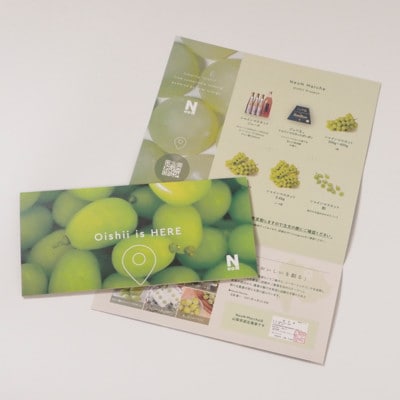 【先行受付2026年発送】 シャインマスカット 粒 約2.8kg 【訳あり】ぶどう 粒カット【配送不可地域：離島・沖縄県】