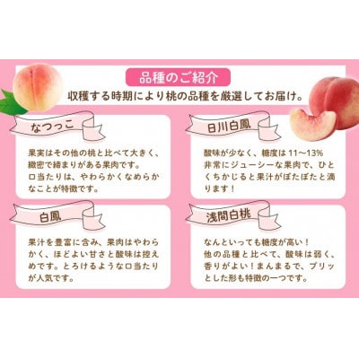 【2026年発送 先行受付】山梨県山梨市産 桃 2kg (5～8玉)【配送不可地域：離島・沖縄県】