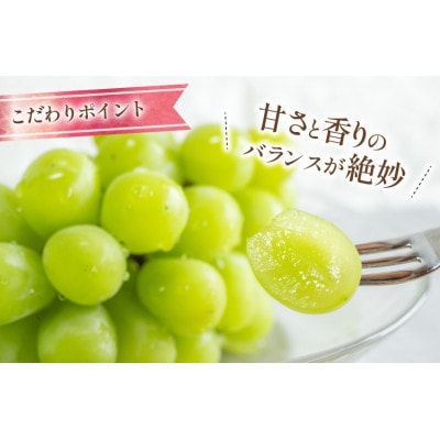 【2026年発送 先行受付】山梨県山梨市産 朝採れ シャインマスカット 2.5kg (3～6房)【配送不可地域：離島・沖縄県】