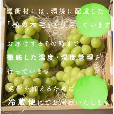 【年内発送】【訳あり】冬に食べられる シャインマスカット 4房 (計2kg以上) 山梨産【配送不可地域：離島・沖縄県】