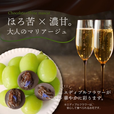 シャインマスカットレーズンのチョコレートマンディアン 5個入 山梨県産シャインマスカット使用
