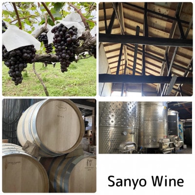 三養醸造 mii甲州2024 750ml×1本【配送不可地域：離島】