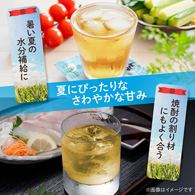 とうもろこしのおいしいひげ茶 500ml 24本 計12L サーフビバレッジ
