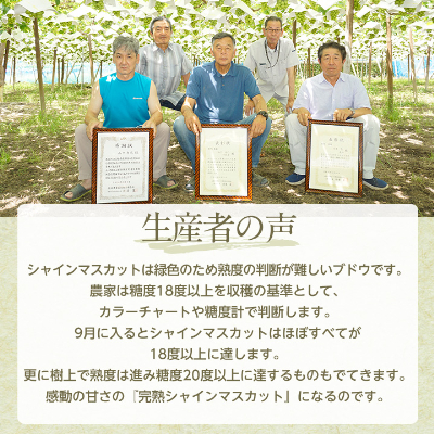 【2026年先行受付】完熟 シャインマスカット 2房 (1kg以上) 世界農業遺産認定地特産【配送不可地域：離島】