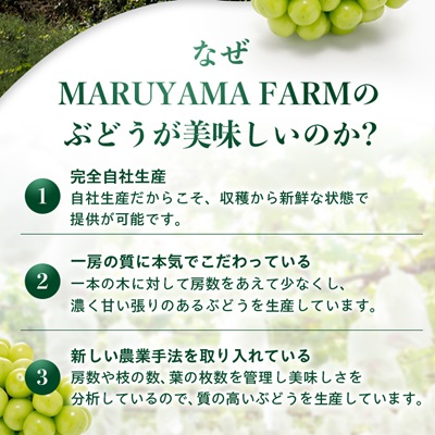 【先行受付 2026年発送】農林水産大臣賞受賞!!シャインマスカット 2房 1kg以上【配送不可地域：離島】