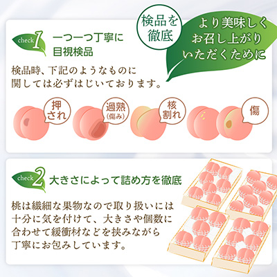 【2026年発送 先行受付】山梨厳選旬の桃約2kg【配送不可地域：離島】