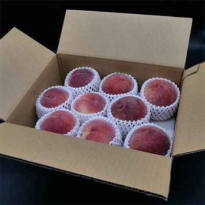 2026年 先行受付【訳あり】桃 3kg以上【配送不可地域：離島】