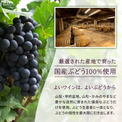 サントネージュワインが贈るおススメ4本セット(3)