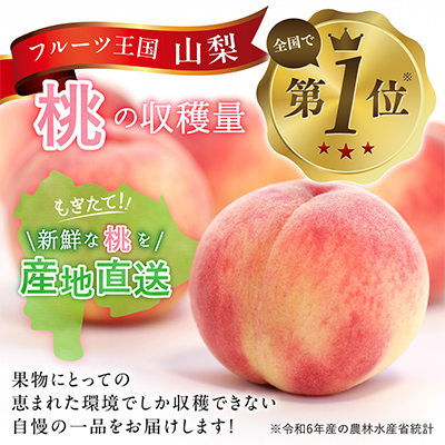 【2026年先行受付】訳あり!桃 3kg前後【配送不可地域：離島・沖縄県】