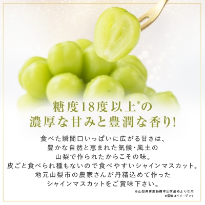 【2026年発送　先行受付】大人気!シャインマスカット秀 1.2kg(2～3房)【配送不可地域：離島】