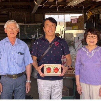 【要人も絶賛する幻の果実】高糖度マンゴーネクタリンやみつきリピーター続出中2026年8月上旬より発送【配送不可地域：離島・北海道・沖縄県・中国・四国・九州】