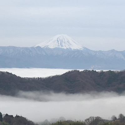 【2026年先行受付】2026年10月中旬発送「幻の牧丘天空ヌーベルローズ」 約1kg(2～3房)【配送不可地域：離島・沖縄県】