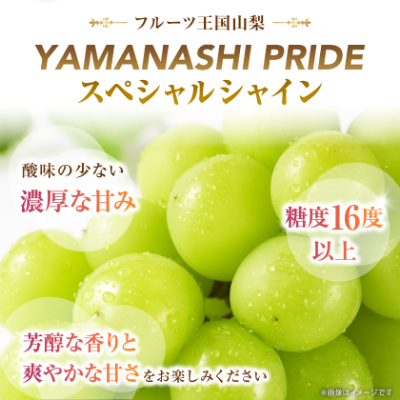 2026年度先行予約 フルーツ王国山梨産厳選 シャインマスカット 3～4房(約1.5kg)【配送不可地域：離島】