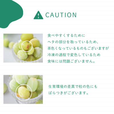 冷凍シャインマスカット 『甲斐の実』 山梨県産ぶどう【配送不可地域：離島】
