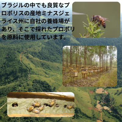 バイオフラボンメディック 60粒