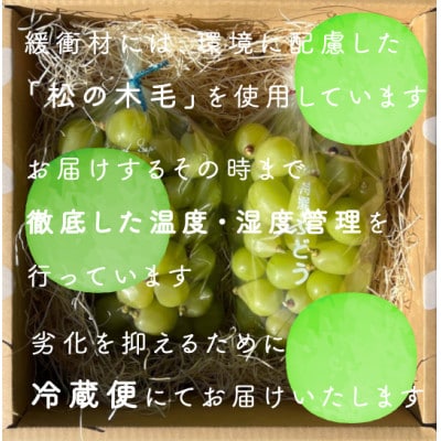 【年内発送】冬に食べられる シャインマスカット 粒 (2kg以上) 山梨産【配送不可地域：離島・沖縄県】