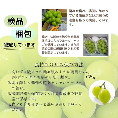 【2026年発送 先行受付】山梨産シャインマスカットと黒系葡萄2色セット【配送不可地域：離島】