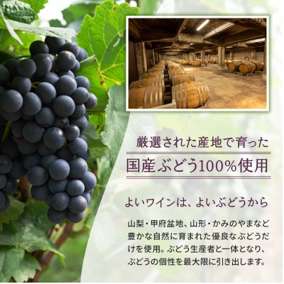 サントネージュ　かみのやまソーヴィニヨン・ブラン