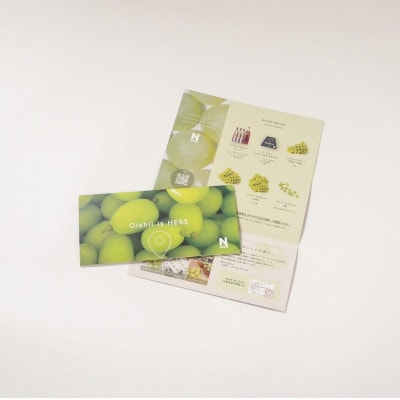 【先行受付2026年発送】 シャインマスカット 粒 600g オーバー 【訳あり】 ぶどう 粒カット【配送不可地域：離島・北海道・沖縄県・四国・九州】