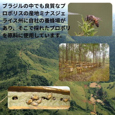 バイオフラボンプラス 100ml