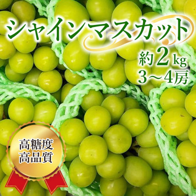 シャインマスカット 約2kg(3～4房)【配送不可地域：離島】