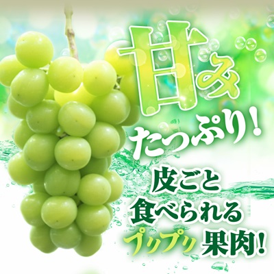 2026年先行受付【見た目は訳あり?味は満足!】農福連携シャインマスカット計1kg【ご家庭用】【配送不可地域：離島】