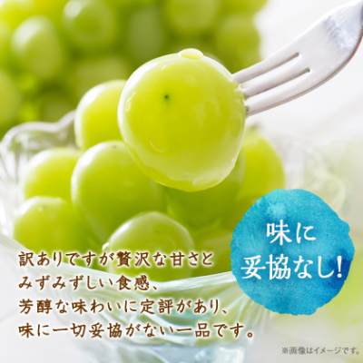 【2026年先行受付】訳あり!生産者直送シャインマスカット 計1kg【味には妥協なし!】【配送不可地域：離島】