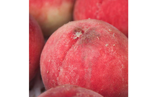 2026年発送 山梨市産 訳あり桃 約2kg(4～8玉)【配送不可地域：離島】