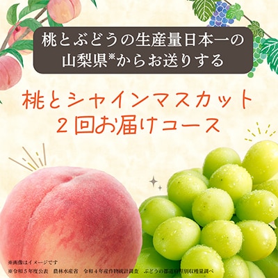 【発送月固定定期便】山梨の美味しい【桃とシャインマスカット】定期便全2回【配送不可地域：離島】