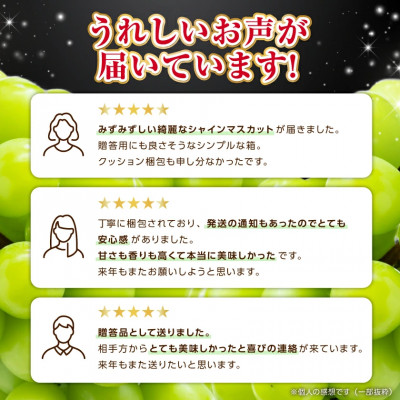 【発送月固定定期便】フルーツ王国山梨産厳選 シャインマスカット・桃 定期便全2回【配送不可地域：離島・北海道・沖縄県・中国・四国・九州】