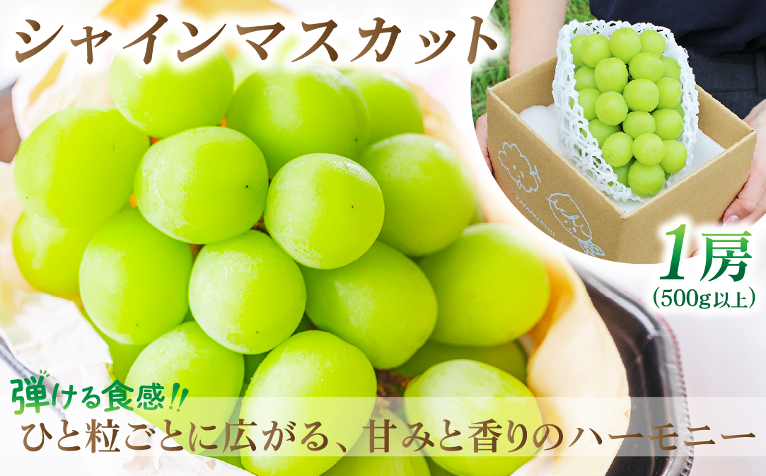 【発送月固定定期便】2026年発送 山梨フルーツ旬の果物 桃+シャインマスカット 全2回【配送不可地域：離島・沖縄県】