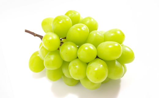 【発送月固定定期便】山梨旬の味覚定期便【桃 約2kg/2色葡萄 1kg以上】全2回【配送不可地域：離島】