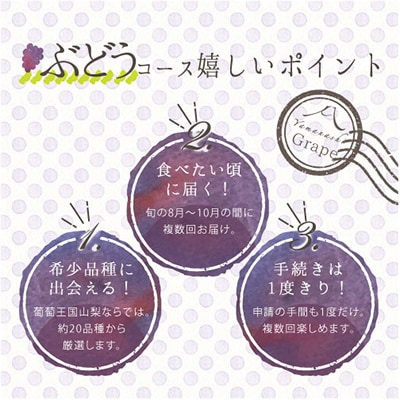 【発送月固定定期便】葡萄好きさん、集まれ～!人気のフルーツぶどうの定期便全3回【配送不可地域：離島・沖縄県】